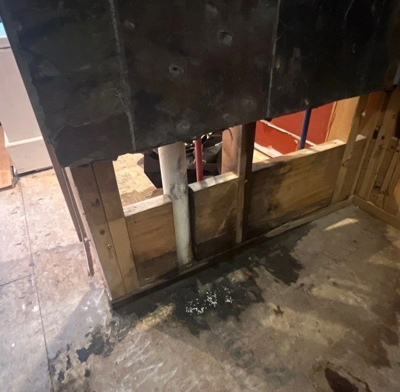 What You Need to Know About Water Damage from a Shower Leak