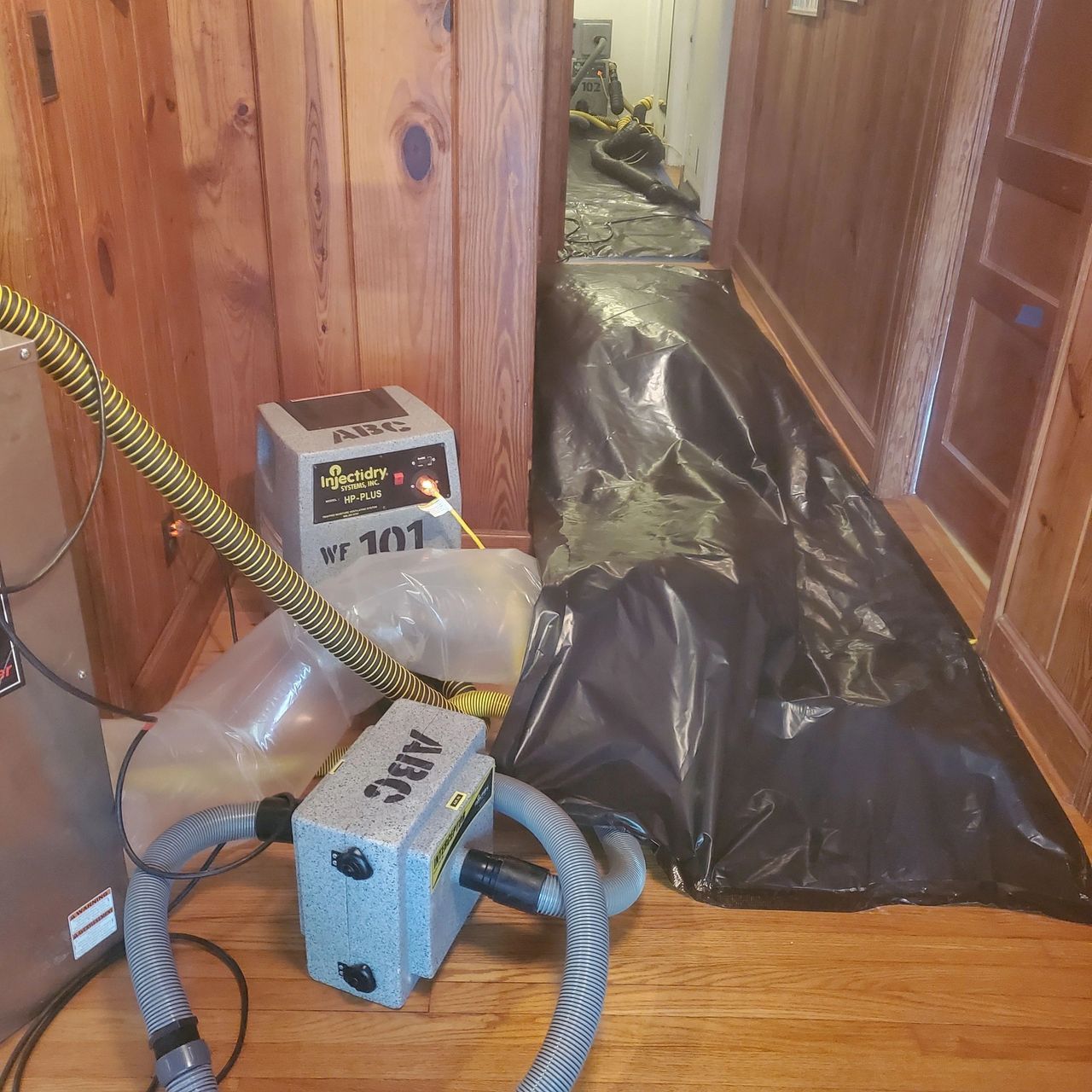 How to Prevent Mold After a Storm