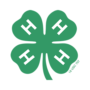 A green four leaf clover with the letter h on it