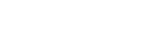 Alexandria Aviation logo