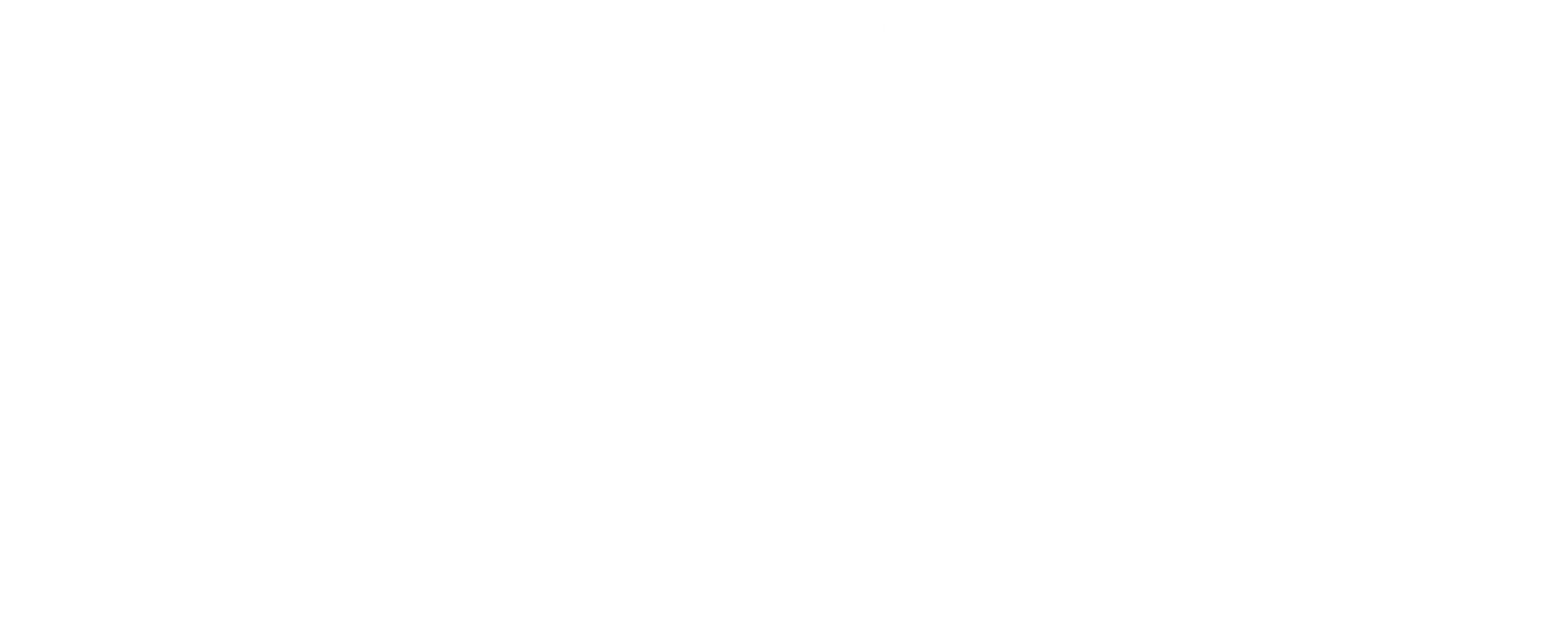 City of Nelson logo in white