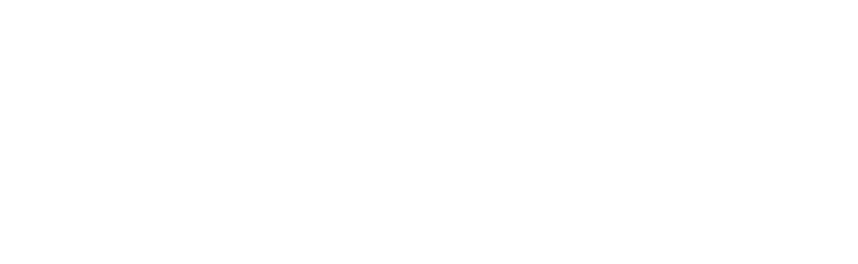 Viking Bank logo