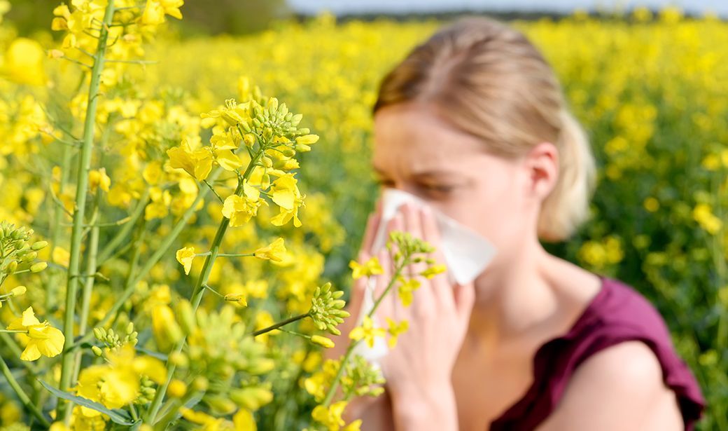 Spring Va Fall Allergy How To Cope With Spring Allergies – TRPS