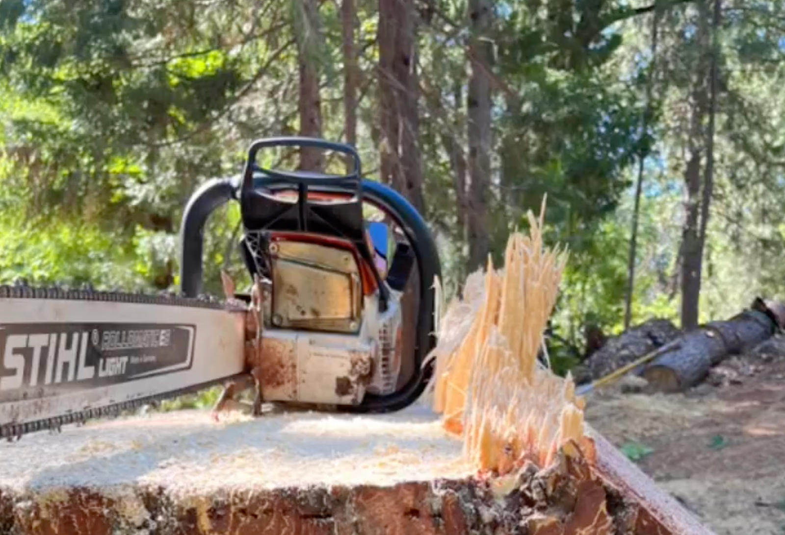 Flow State Tree Works offering affordable tree services in Redding, ca