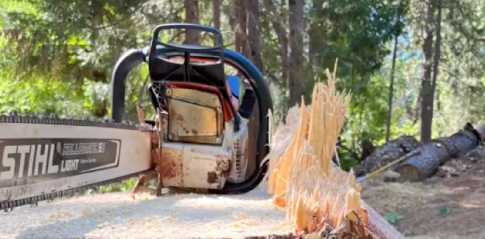 Flow State Tree Works, tree removal service, chainsaw sitting on a stump.