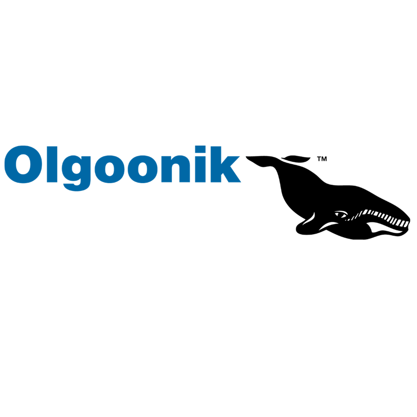 Olgoonik
