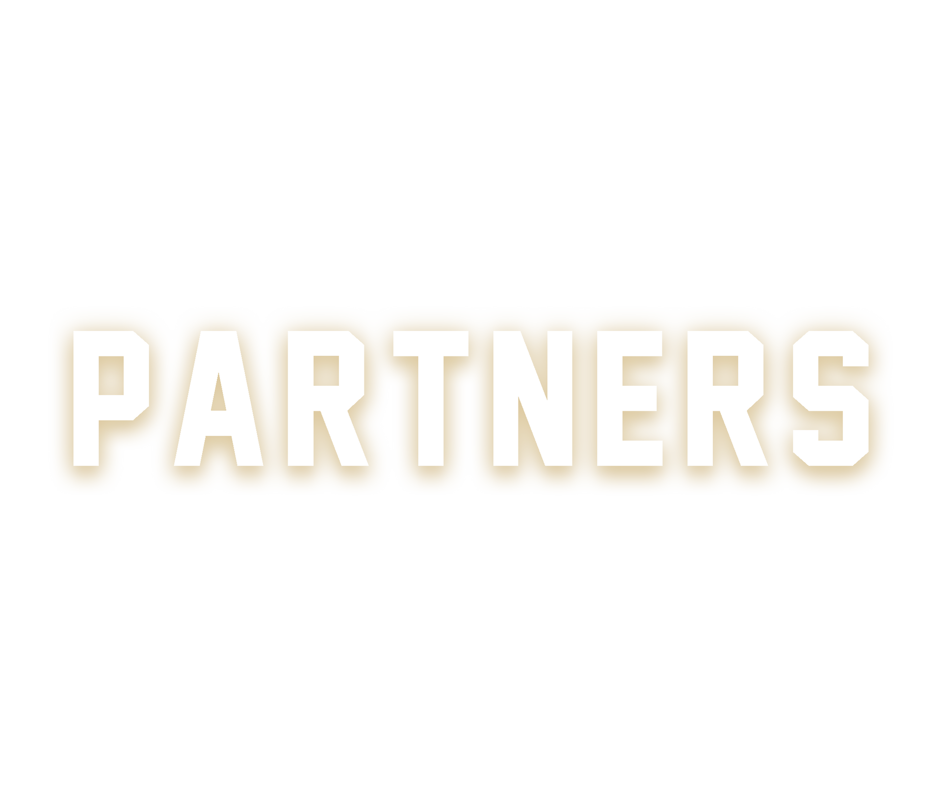 The word partners is written in white letters on a white background.