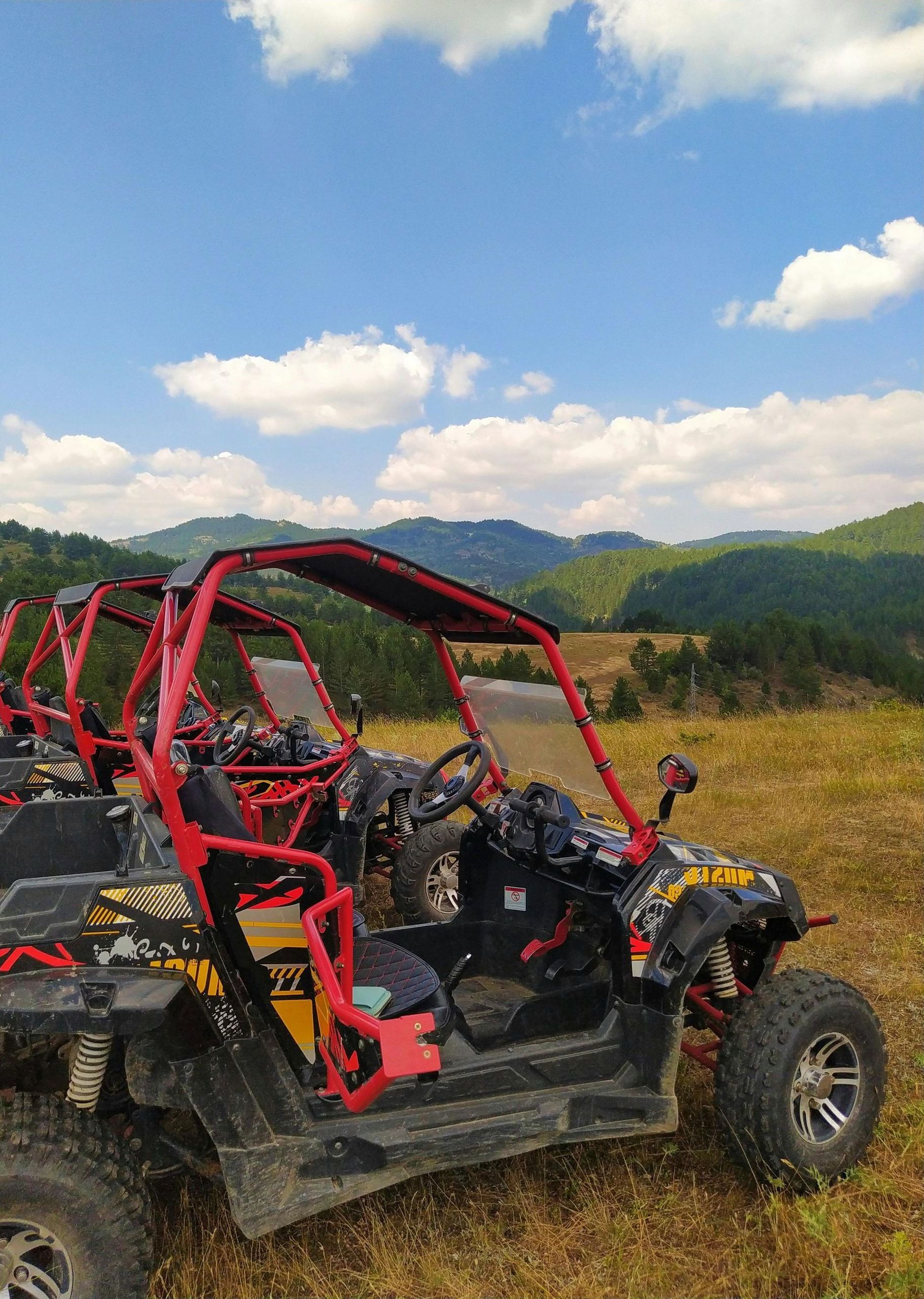 A group of atvs are parked in a field with mountains in the background.