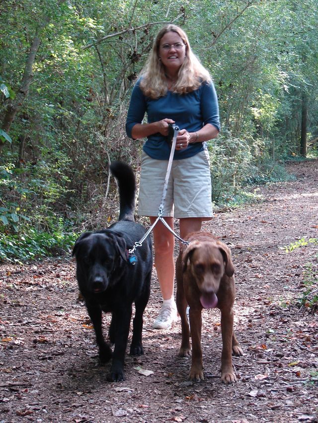 A woman is walking a small dog on a leash in the woods.