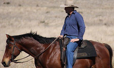 Horse Riding