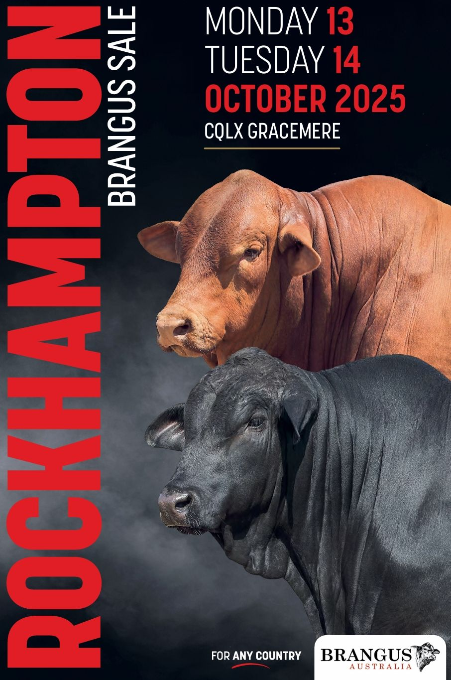 animals