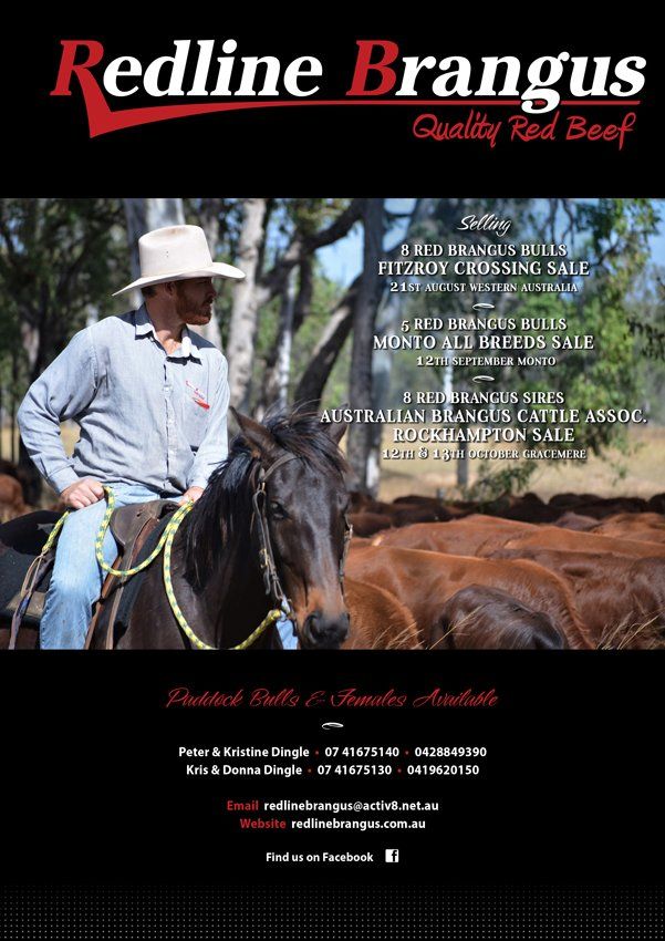 Redline Journal Autumn 2020