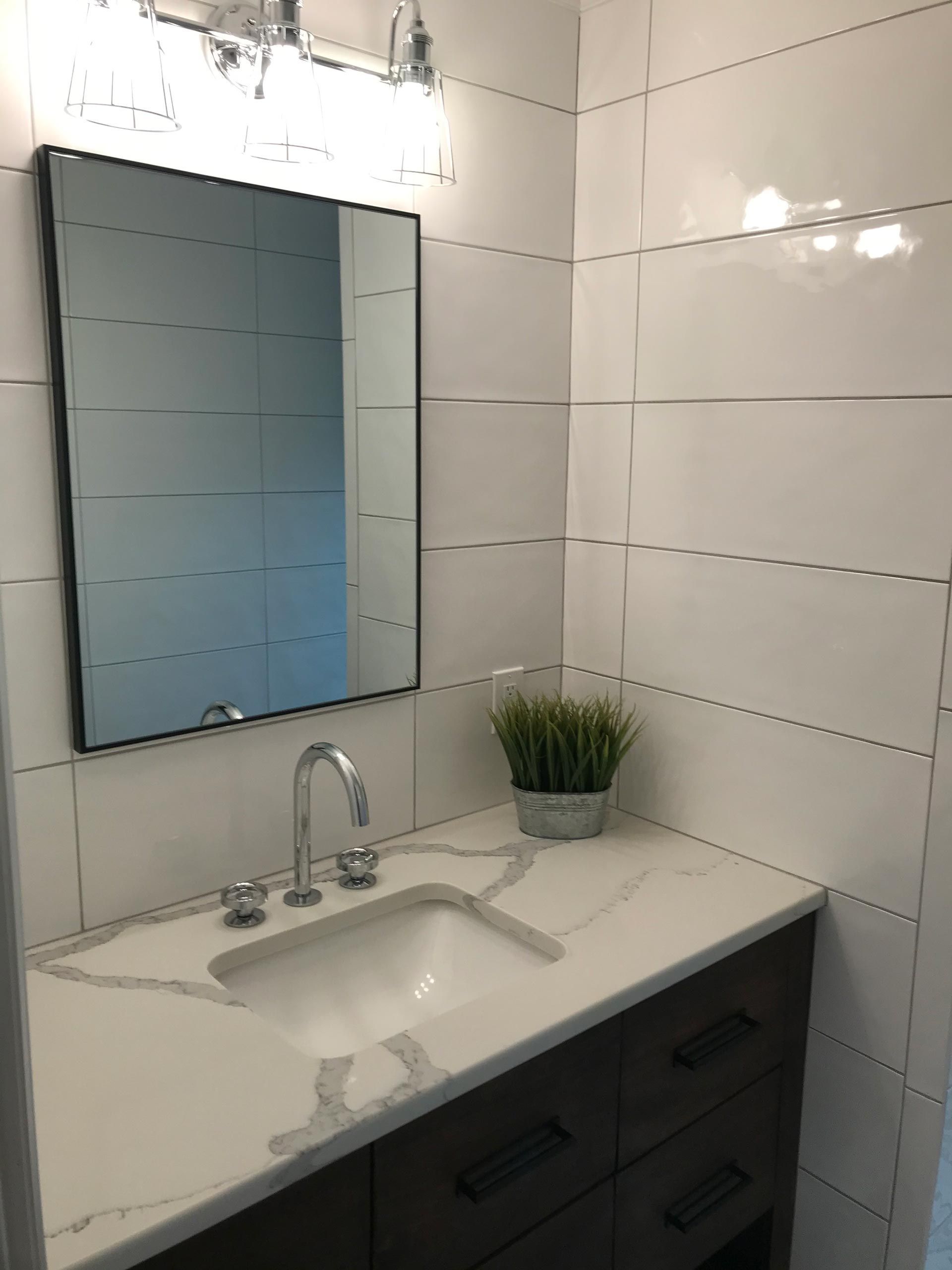 A bathroom with a sink , mirror and plant on the counter.
