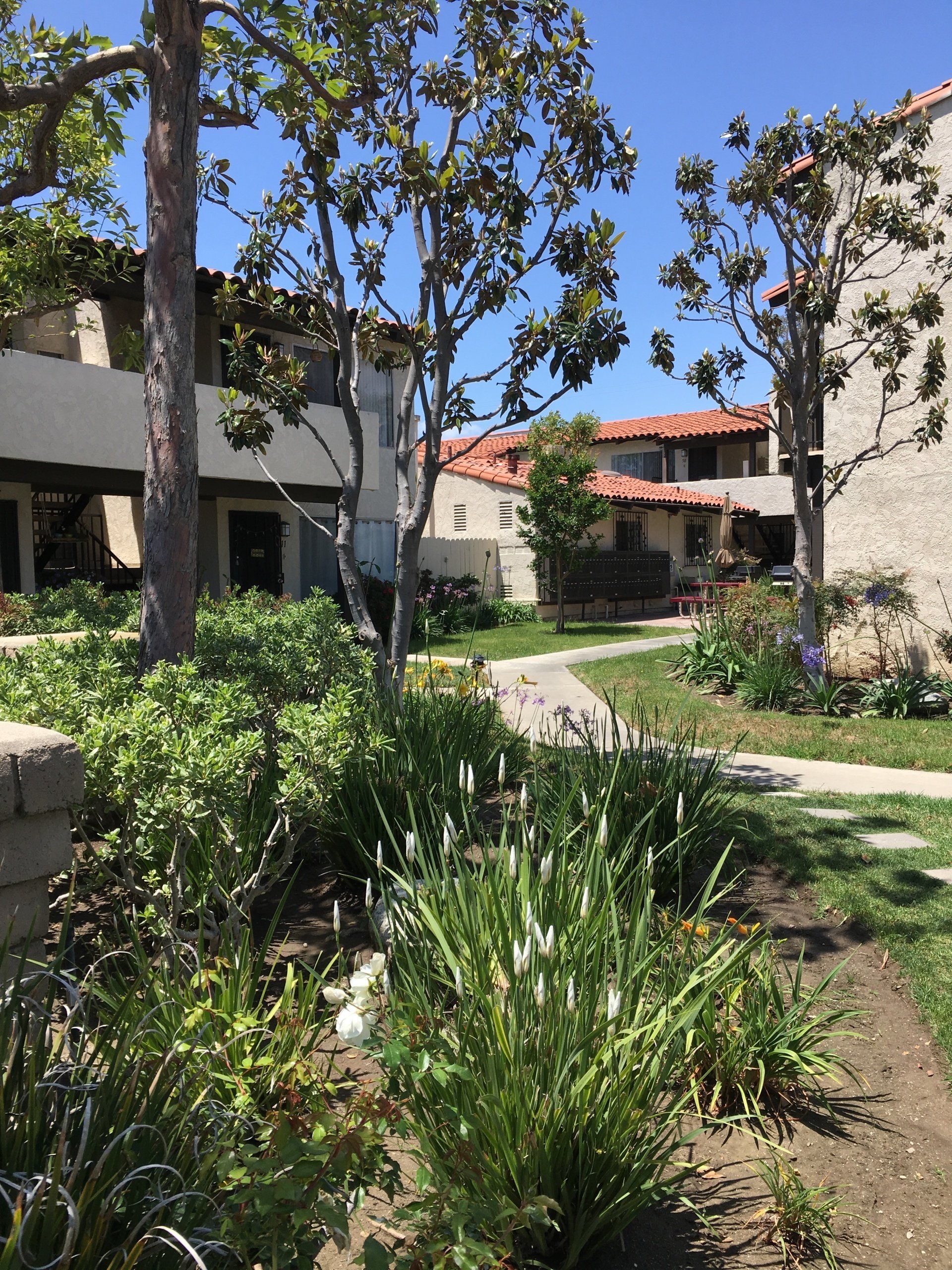 Exterior | Tustin Plaza Apartments