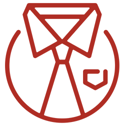 icona professionalità