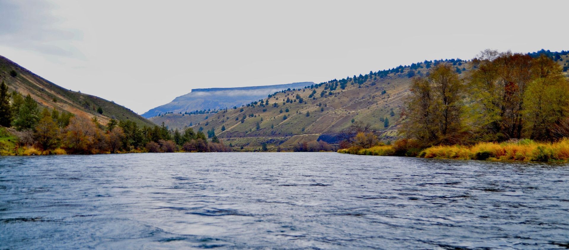 A river with mountains in the background and trees on the shore.