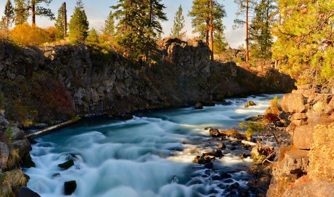 A river flowing through a lush green forest surrounded by rocks and trees.