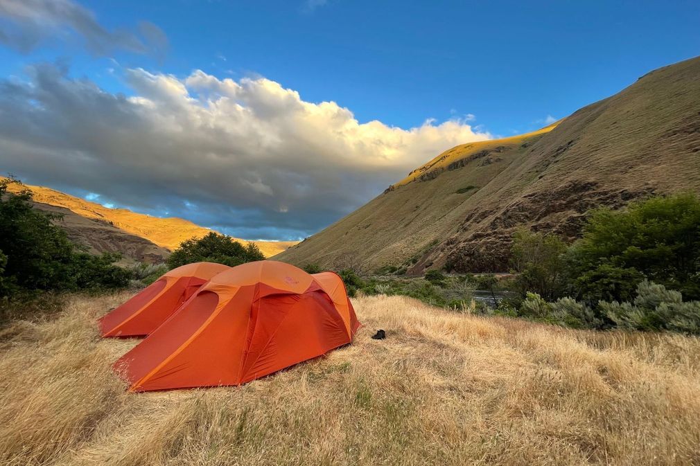 Two orange tents are sitting in a field with a mountain in the background.