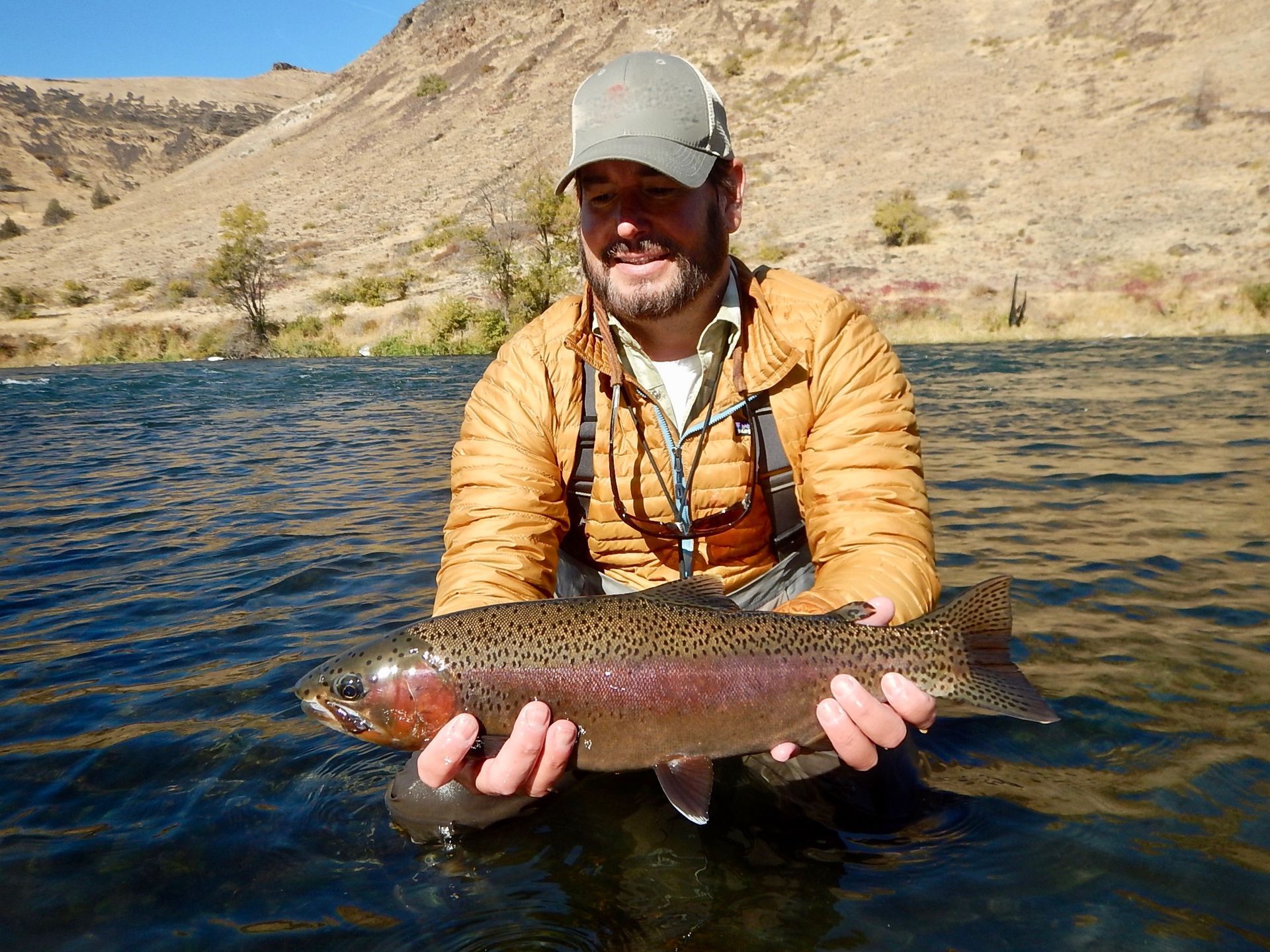 A man is holding a rainbow trout in his hands in the water.