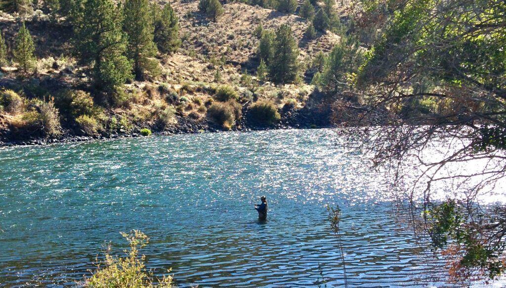 A man is holding a rainbow trout in a river.