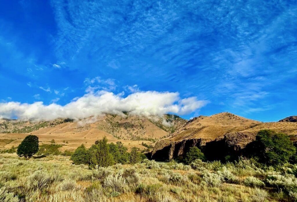 A desert landscape with mountains in the background and a blue sky with clouds