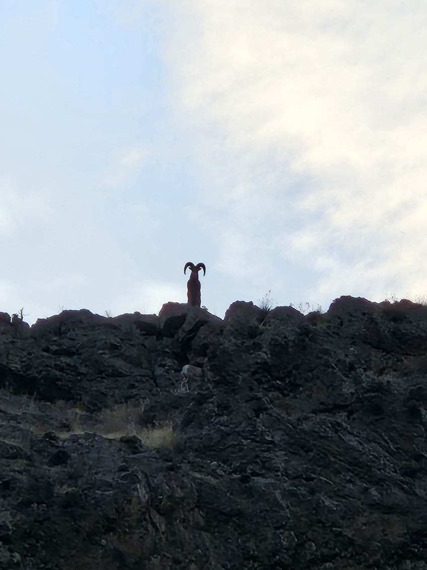 A person is standing on top of a rocky hill.