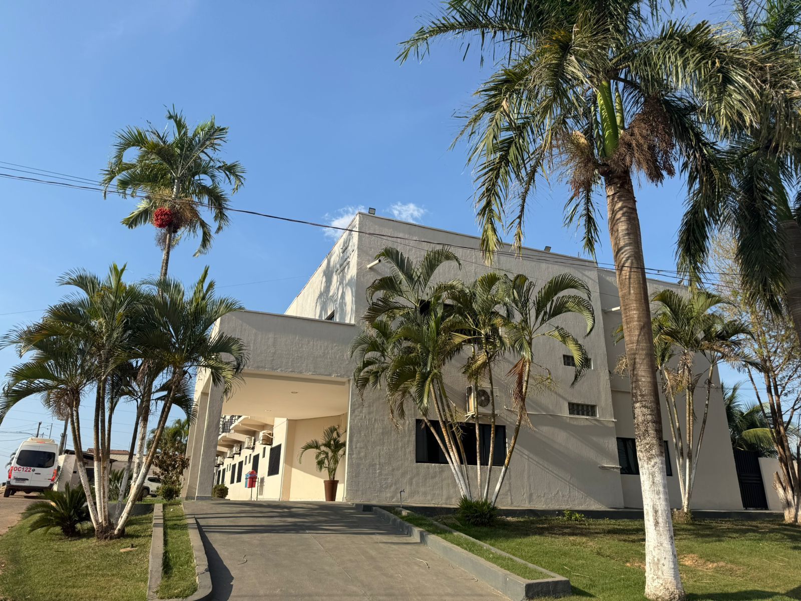 Uma piscina com um edifício ao fundo e uma palmeira em primeiro plano.