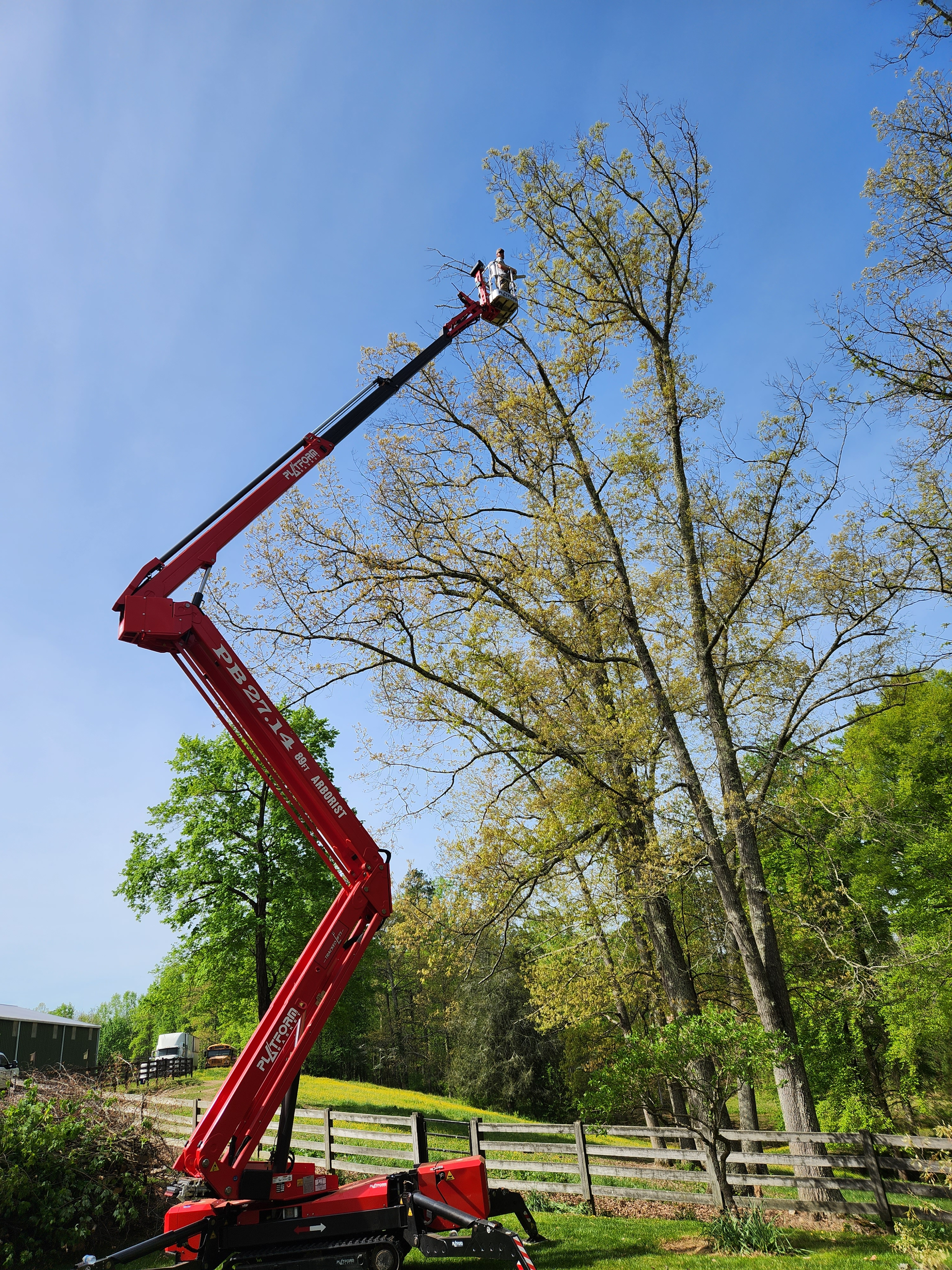Working in the crown of the elm tree — Church Hill, TN — Barrett’s Tree Experts