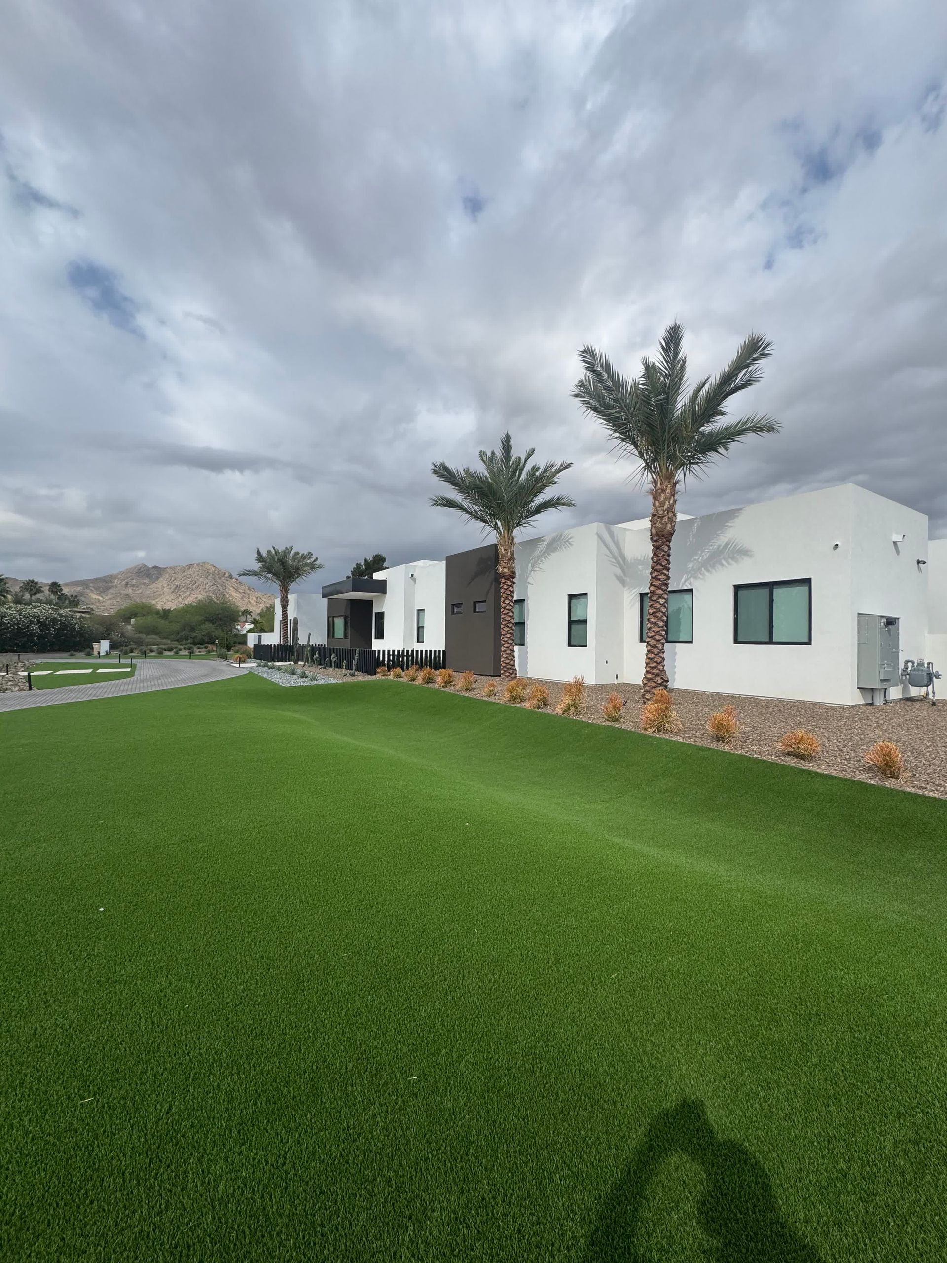 A white house with palm trees in front of it