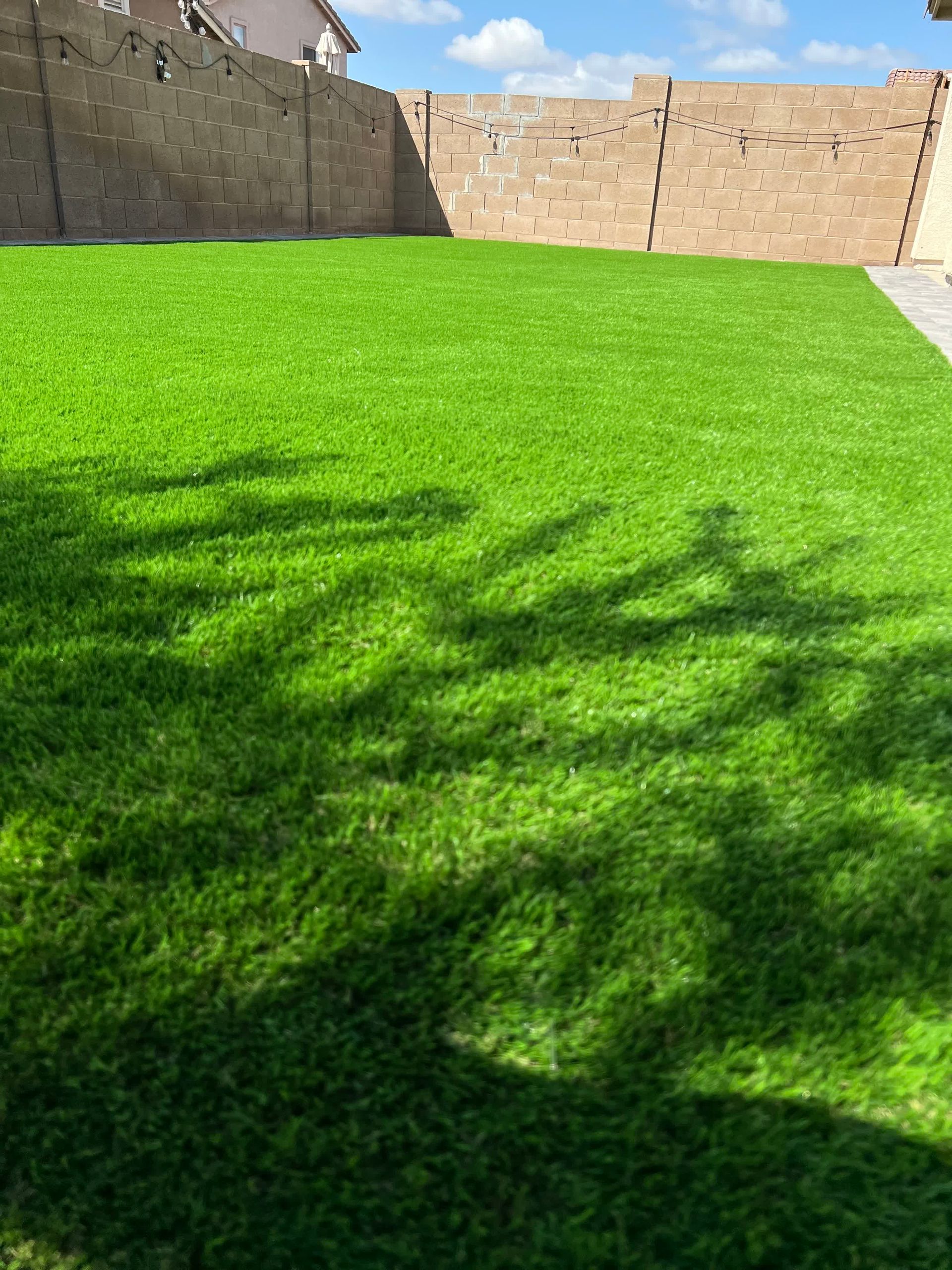A lush green lawn with a brick wall in the background.