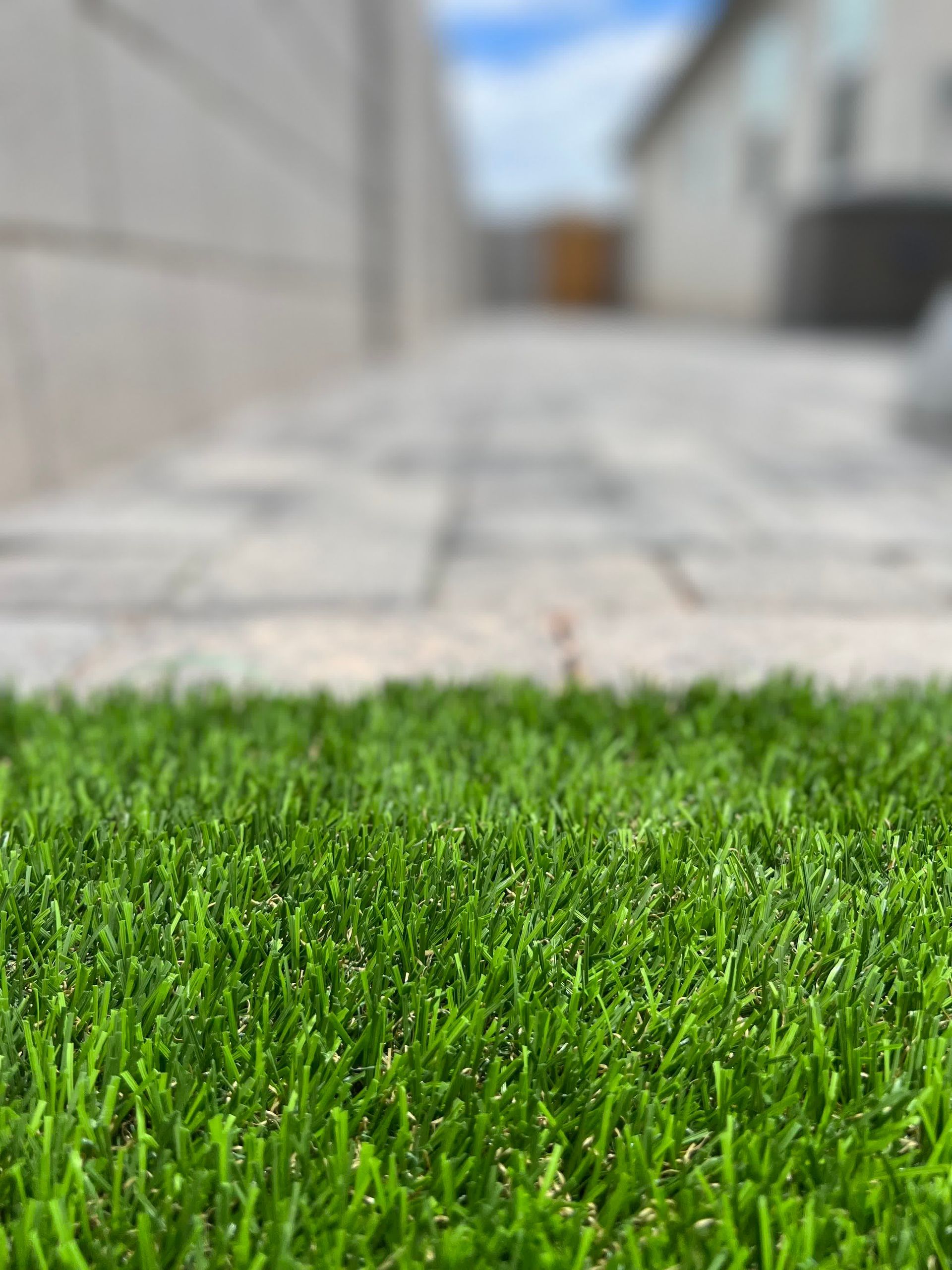 A close up of a patch of green grass on a sidewalk.