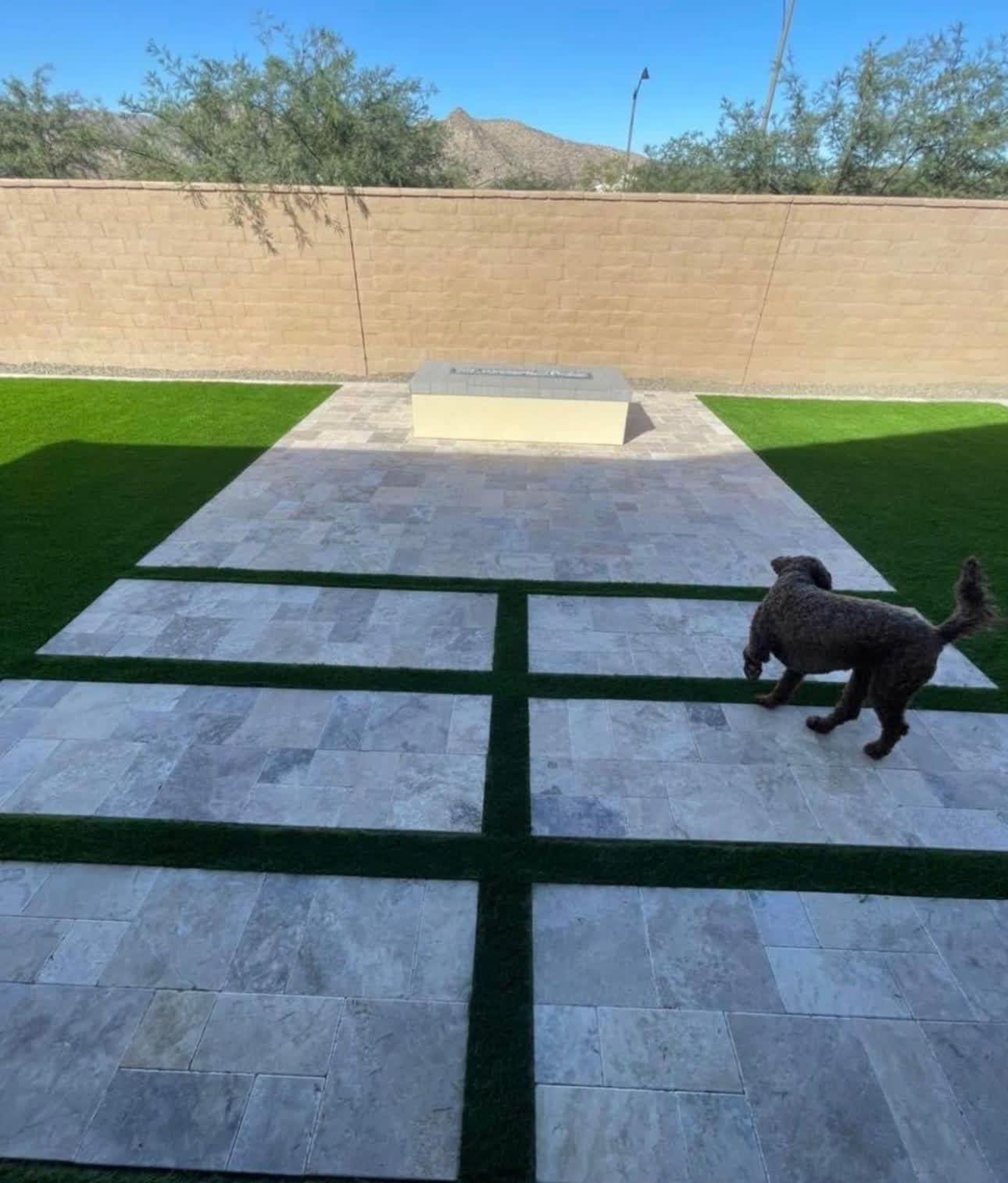 A dog walking on a patio with a brick wall in the background