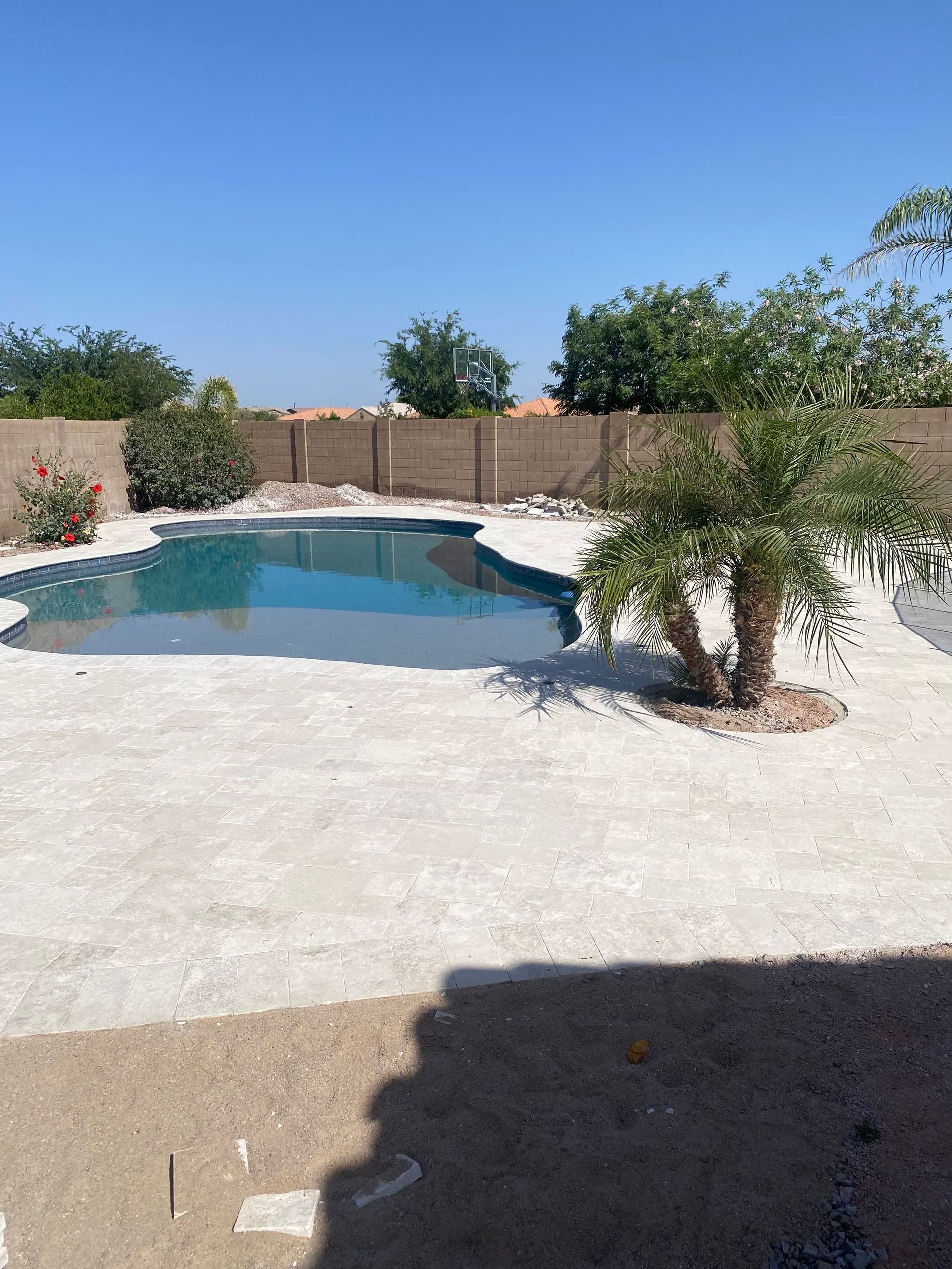 A backyard with a swimming pool and a palm tree