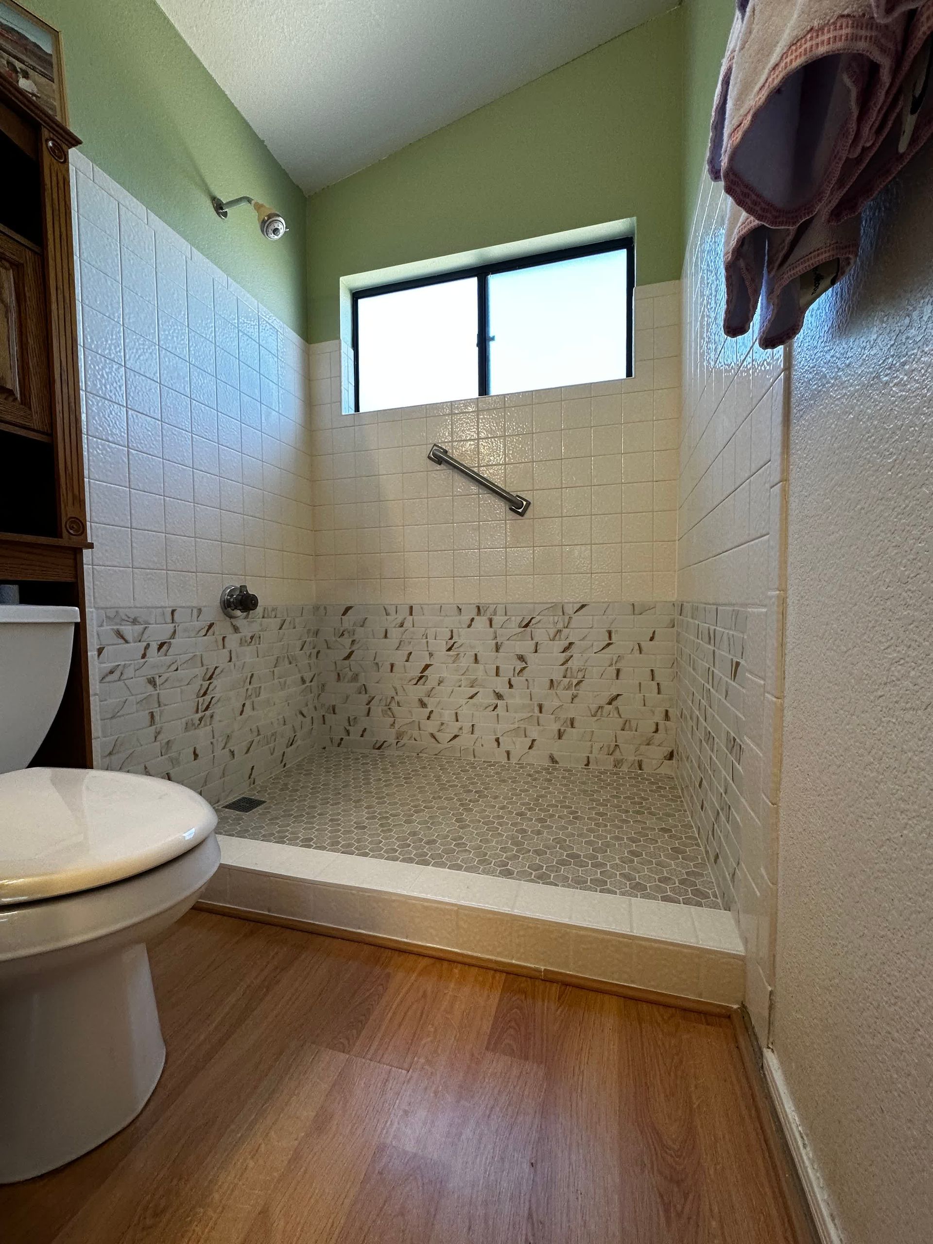 A bathroom with a toilet and a walk in shower.