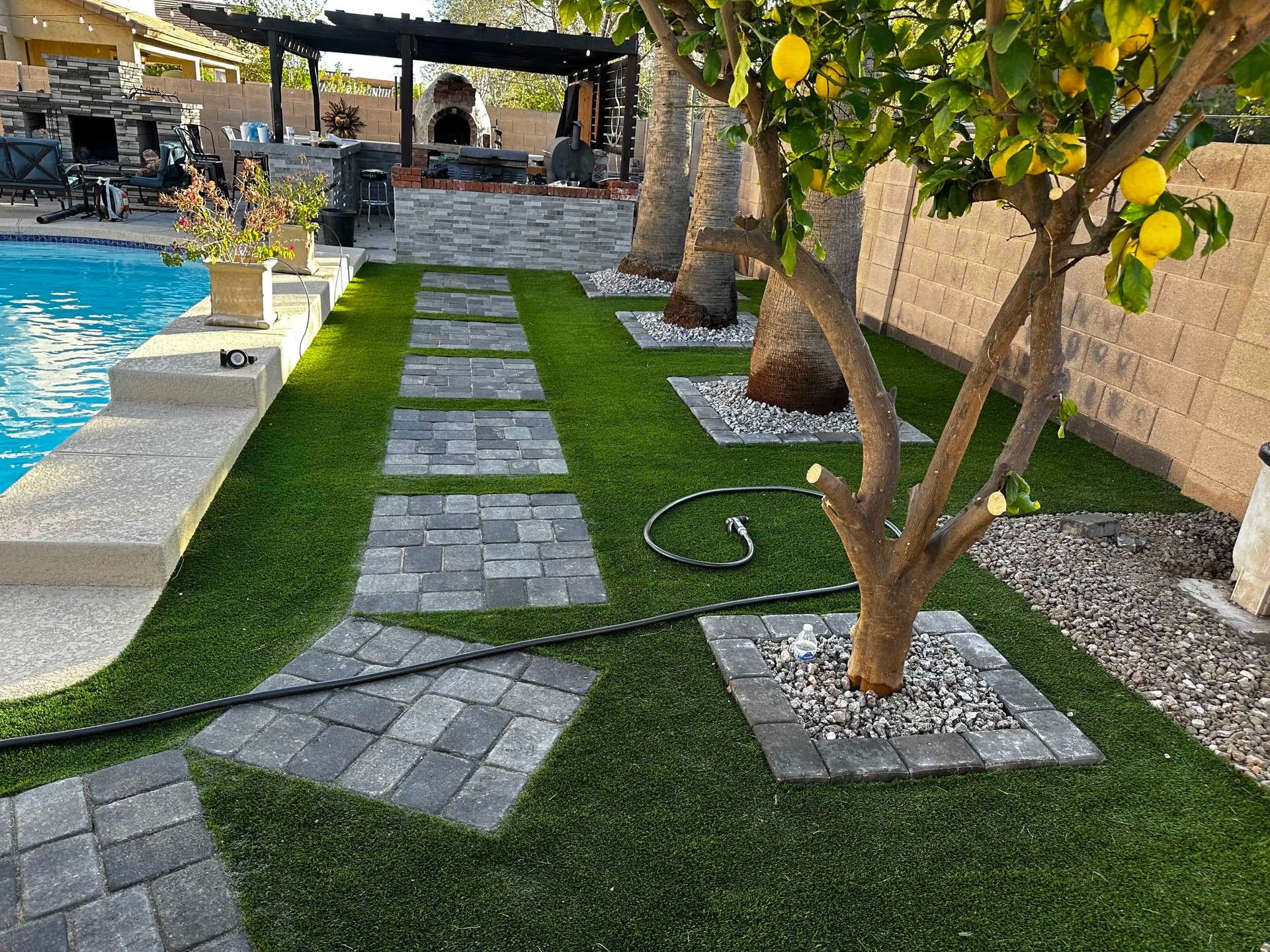A backyard with a swimming pool and a lemon tree.