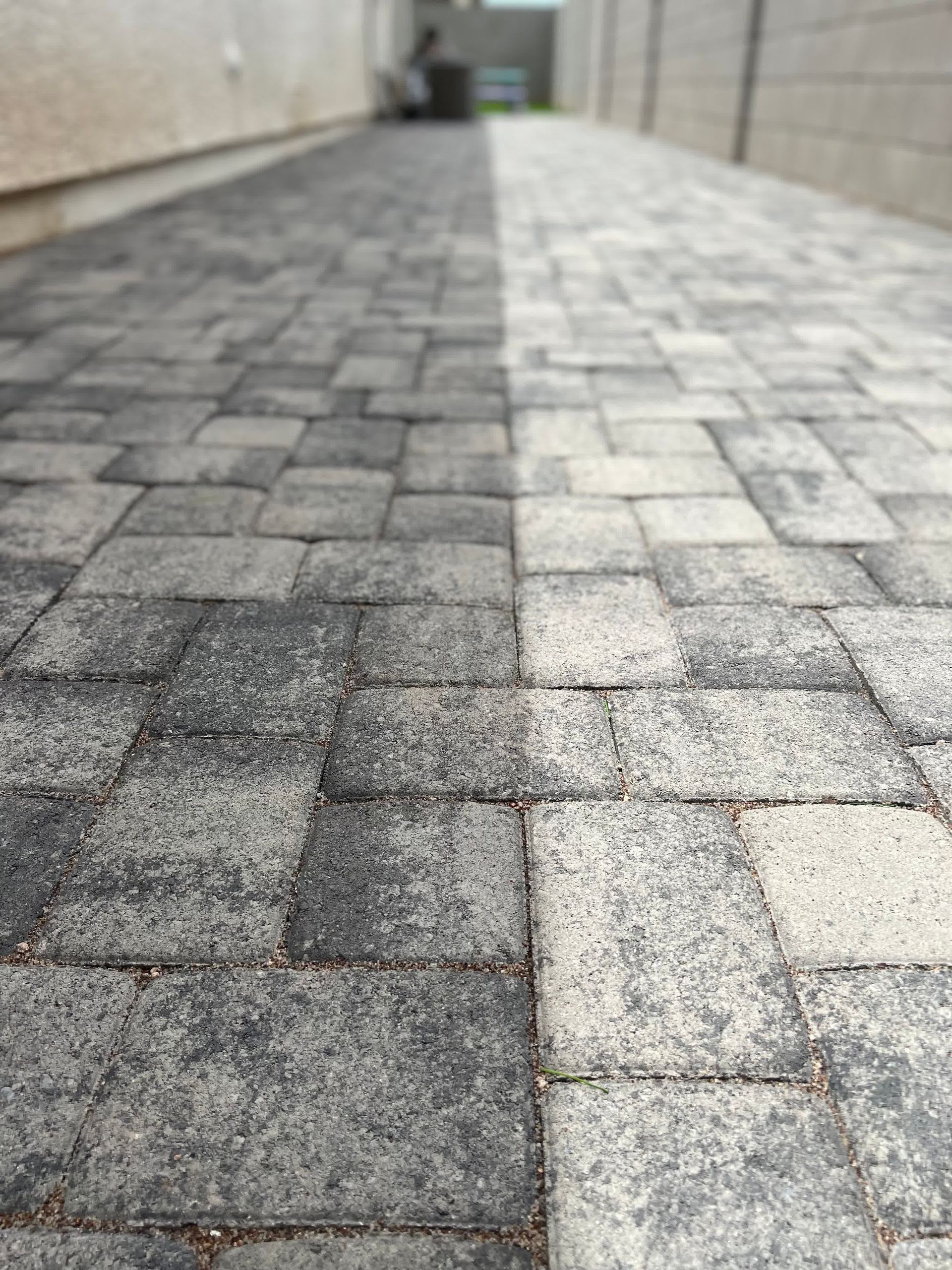 A brick walkway with a black and white brick border.