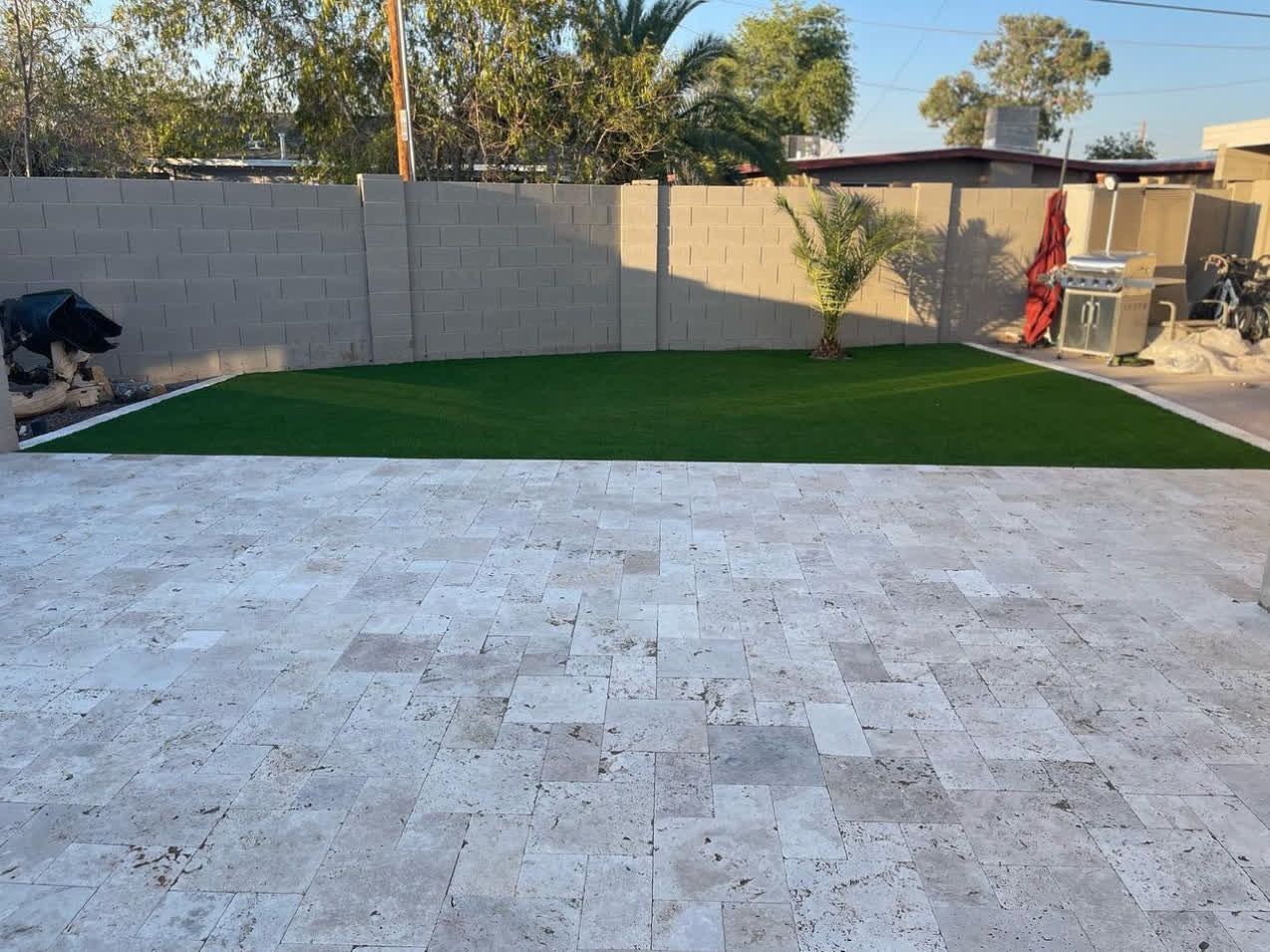 A dog is standing on a patio in a backyard
