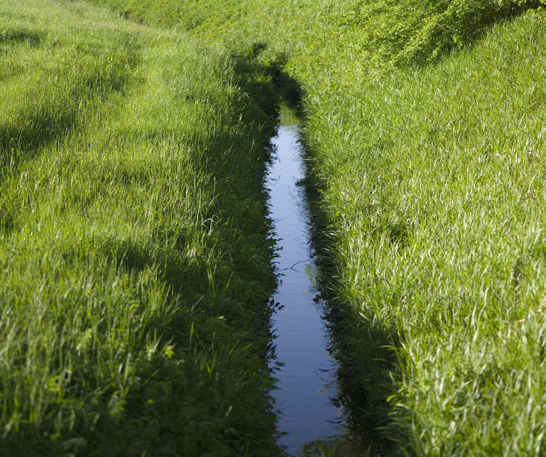Agricultural Drainage — St. Lohrville, IA — Gemberling Excavating