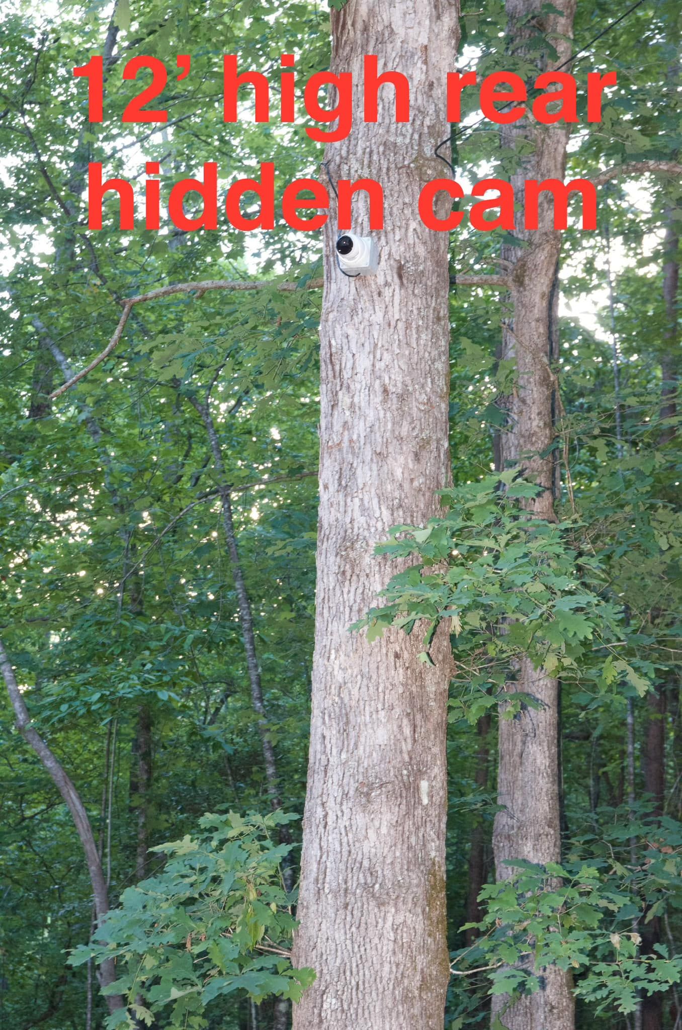 Amped Up, Taylors SC, 29609, 29650, 29687, Greenville SC, 29601, 29602, 29603, 29604, 29605, 29606, 29607, 29609, 29611, 29612, 29614, 29615, 29616, Spartanburg SC, 29301, 29302, 29303, 29304, 29305, 29306, 29307, 29319, Landrum SC, 29356, Arden NC, 28704, Asheville NC, Easley SC, 29640, 29641, 29642, Powdersville SC, 29611, 29673, Lake Lure NC, 28746, Cashiers NC, 28717, Clemson SC, 29631, Anderson SC, 29621, 29622, 29623, 29624, 29625, Pickens SC 29671, Sunset SC, 29685, Six Mile SC, 29682, Seneca SC, 29672, 29678, 29679, Walhalla SC, 29691, Brevard NC, 28712, Hendersonville NC, 28792, Simpsonville SC, 29680, 29681, Greer SC, 29650, 29651, 29652, 29687, The Reserves, Fletcher SC, 28732, Cameras, Security Camera Provider Near Me, Security Camera Installation, AI Security Cameras, Surveillance, AI Surveillance, Surveillance Company Near Me, Facial Recognition Camera, Agnostic Camera System, Non Proprietary Camera System, License Plate Recognition Camera, High End Security Systems, Monitored Camera Systems, Security Systems, Security Systems Supplier Near Me, Greenville Security Systems, Spartanburg Security Systems, Asheville Security Systems, Easley Security Systems, Powdersville Security Systems, Lake Lure Security Systems, Simpsonville Security Systems, Hendersonville Security Systems, Greer Security Systems, Storage Unit Security System, Pool Security System, Clubhouse Security System, Tennis Courts Security System, Car Dealership Security System, Bank Security System, Parking Lot Security System, Public Storage Security System, Gas Station Security System, Construction Site Security System, Monitored Fire Detection, Life Safety Devices, Network Design and Implementation, Utilities, Commercial Audio Distribution, Home Automation, Greenville Home Automation, Spartanburg Home Automation, Asheville Home Automation, Easley Home Automation, Powdersville Home Automation, Lake Lure Home Automation, Simpsonville Home Automation, Hendersonville Home Automation, Greer Home Automation, Home Security Systems, Greenville Home Security Systems, Spartanburg Home Security Systems, Asheville Home Security Systems, Easley Home Security Systems, Powdersville Home Security Systems, Lake Lure Home Security Systems, Simpsonville Home Security Systems, Hendersonville Home Security Systems, Greer Home Security Systems, Home Security Installation, Residential Security Provider, Fire Prevention, Smart Home, Home Integration, Home Network, Audio Visual Setups, Security System Setup, Alarm System Installation, Smart Home Security, Surveillance System Installation, Remote Monitoring, Video Doorbells, Access Control Installation, Intercom Systems