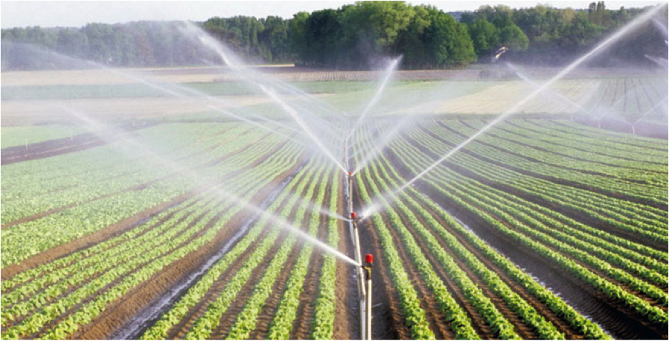 Etude d'aménagement hydro-agricole LEBEST