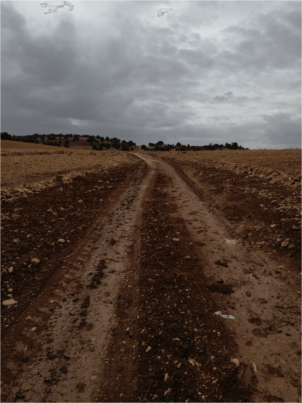 Etude routière LEBEST