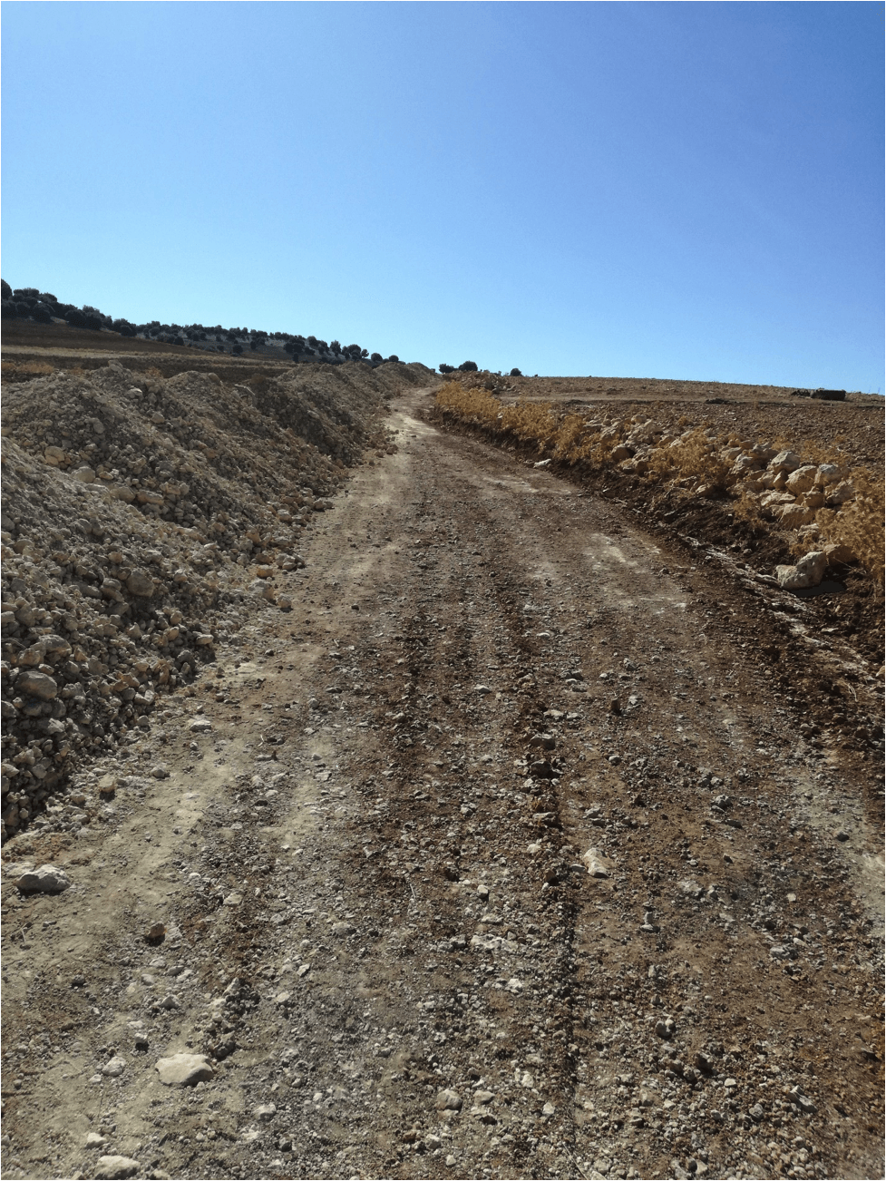 Etude routière LEBEST