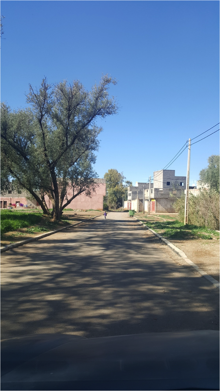 Etude et suivi des travaux de voirie et assainissement et mise à niveau urbaine  LEBEST