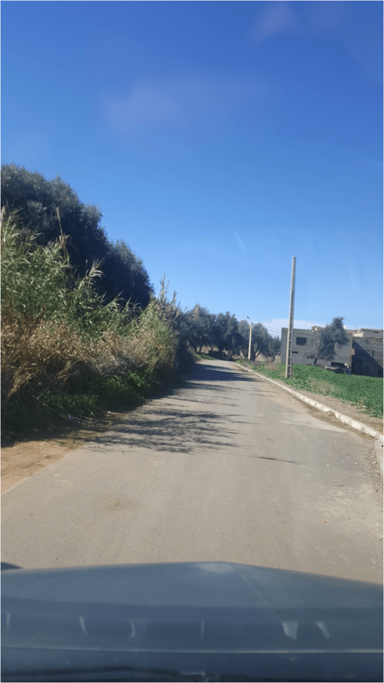 Etude et suivi des travaux de voirie et assainissement et mise à niveau urbaine  LEBEST