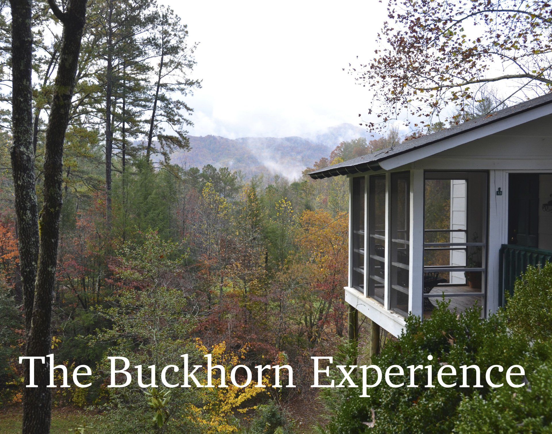 A house with a screened in porch overlooking a forest with the words the buckhorn experience below it