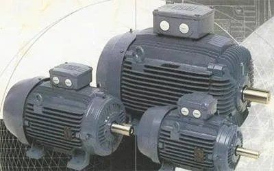 Motore trifasi WEG
