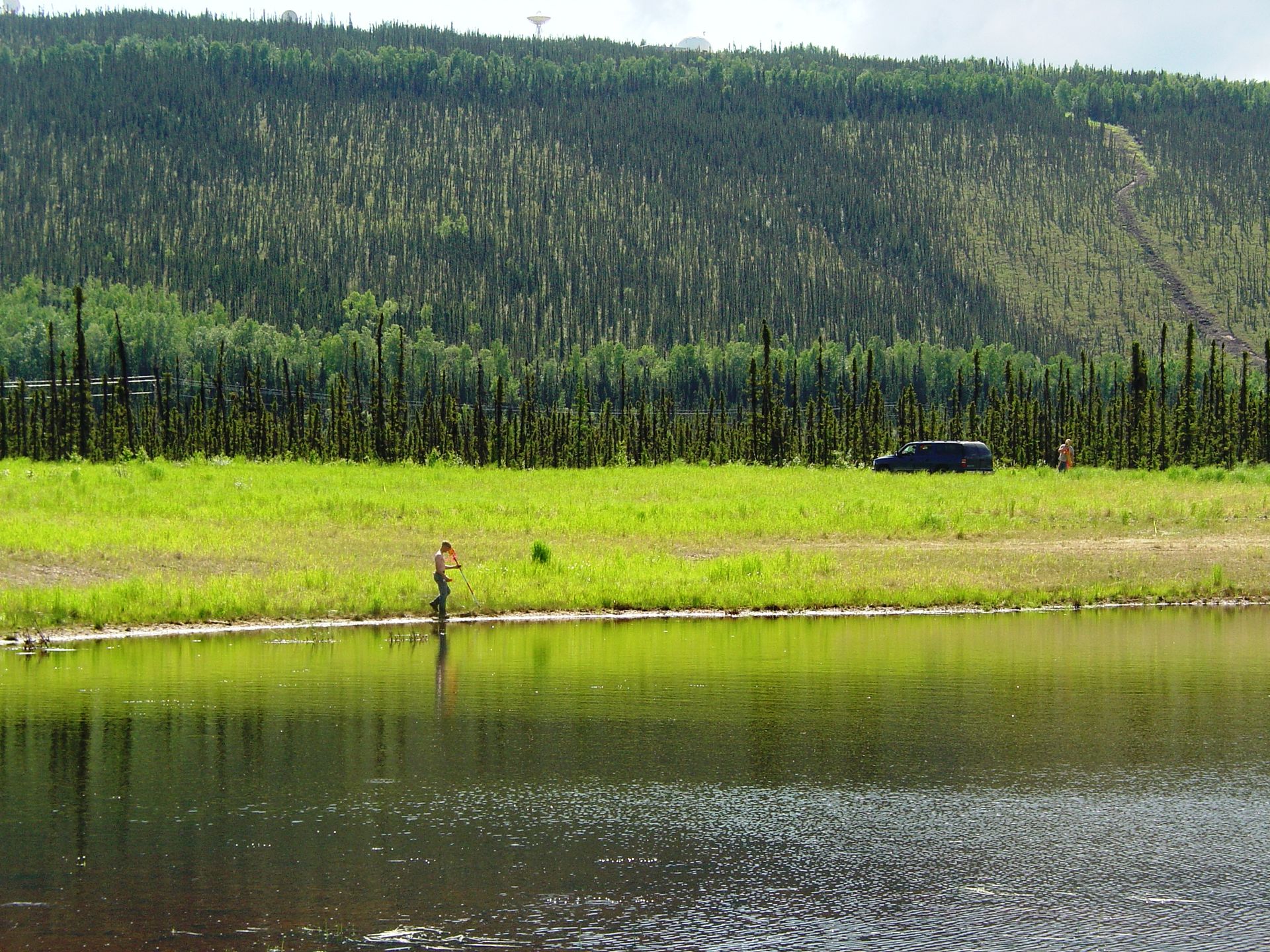 Person fishing in a grassy field next to a lake, forest in the background, car parked nearby.