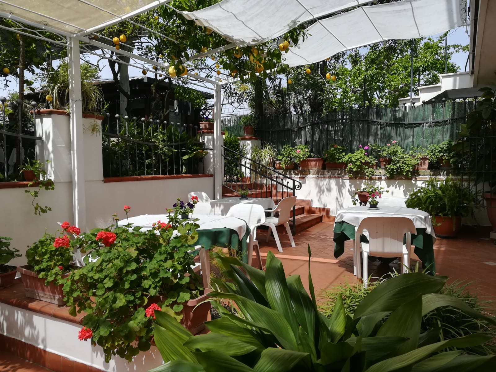 Patio esterno del ristorante con tavoli bianchi, tovaglie verdi, circondato da piante e una tettoia.