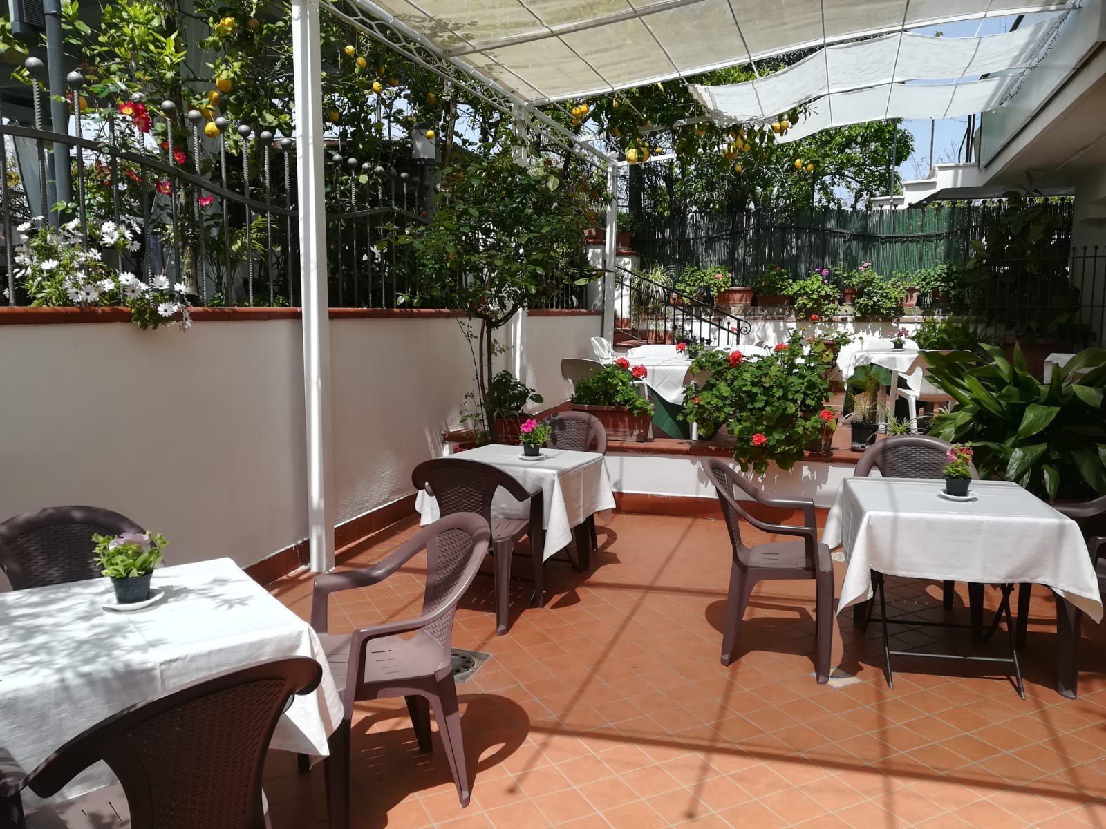 Patio esterno del ristorante con tavoli, sedie e piante in vaso sotto una tenda bianca e alberi di limone.