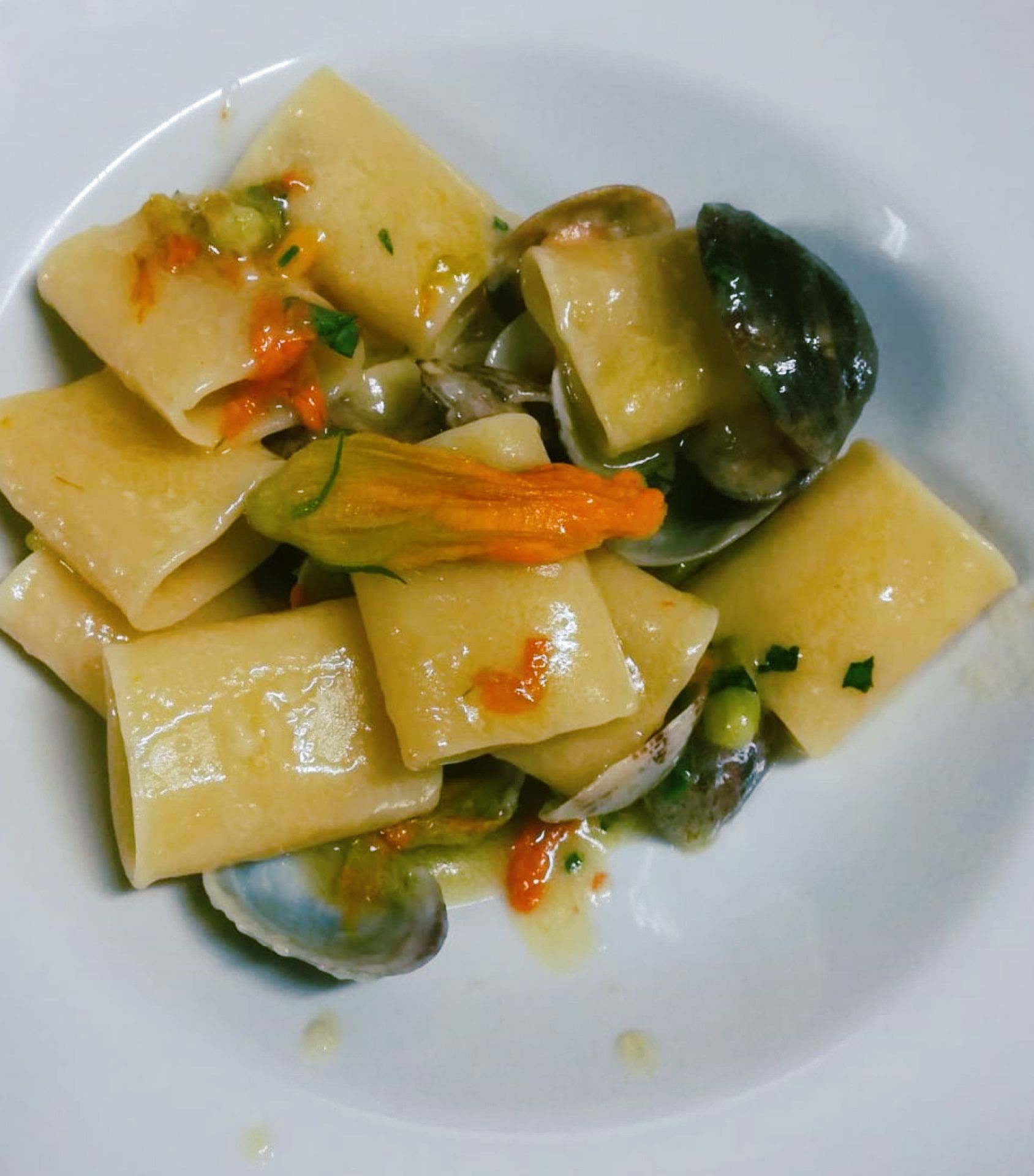 Piatto di pasta con vongole, fiori di zucca e una salsa leggera, servito su un piatto bianco.
